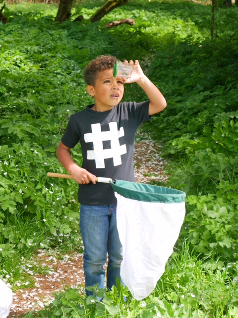 Boy looking at bug 70 dPI